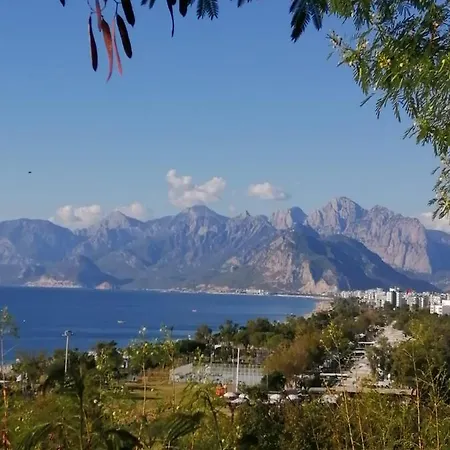 Ongel Apt, Beyaz Teyze * Antalya
