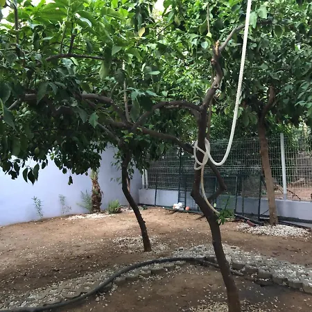 Daire Ongel Apt, Beyaz Teyze Antalya